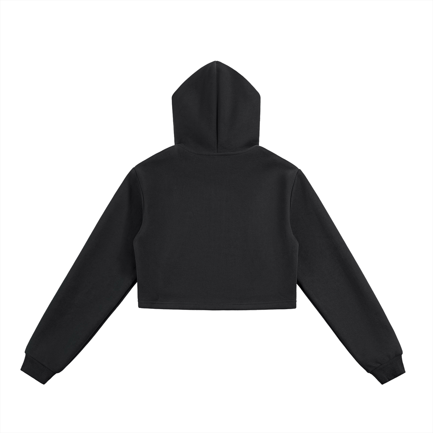 LTS Cropped Zip-Up Hoodie woman's